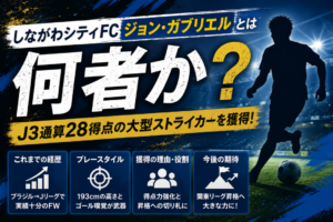 【しながわシティFC】ジョン・ガブリエルとは何者?J3通算28得点の193cmブラジル人FWを獲得|経歴・プレースタイル・起用法を徹底解説 【しながわシティFC】ジョン・ガブリエルとは何者?J3通算28得点の193cmブラジル人FWを獲得|経歴・プレースタイル・起用法を徹底解説
