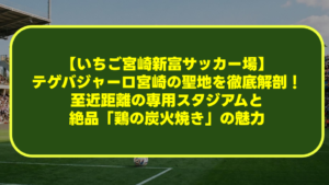 【いちご宮崎新富サッカー場】テゲバジャーロ宮崎の聖地を徹底解剖！至近距離の専用スタジアムと絶品「鶏の炭火焼き」の魅力