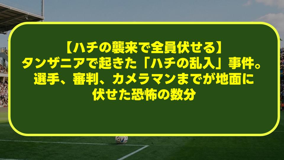 【ハチの襲来で全員伏せる】タンザニアで起きた「ハチの乱入」事件。選手、審判、カメラマンまでが地面に伏せた恐怖の数分 【ハチの襲来で全員伏せる】タンザニアで起きた「ハチの乱入」事件。選手、審判、カメラマンまでが地面に伏せた恐怖の数分