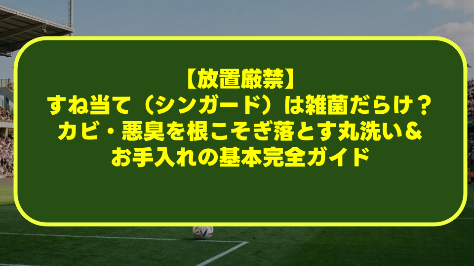 【放置厳禁】すね当て(シンガード)は雑菌だらけ?カビ・悪臭を根こそぎ落とす丸洗い&お手入れの基本完全ガイド 【放置厳禁】すね当て(シンガード)は雑菌だらけ?カビ・悪臭を根こそぎ落とす丸洗い&お手入れの基本完全ガイド